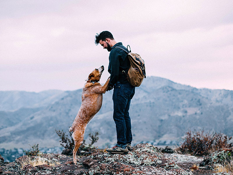 A single guy with his dog