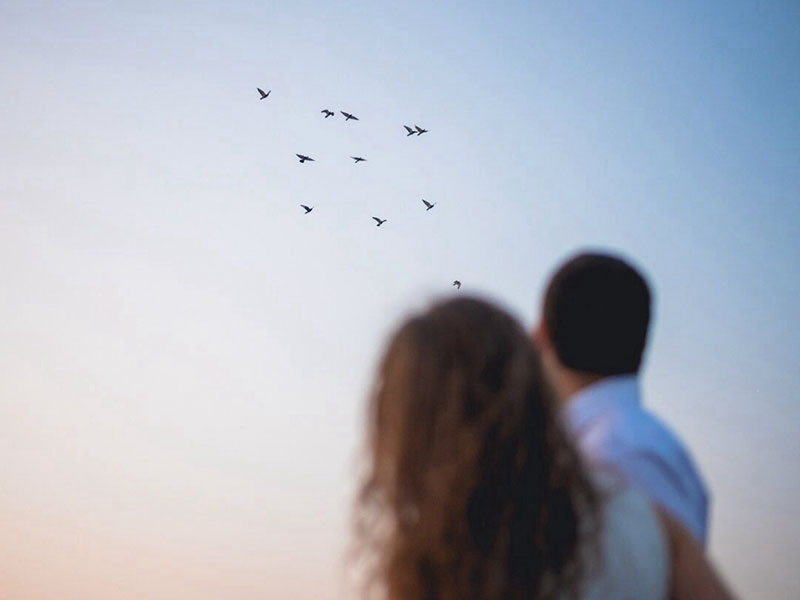 Two couples who have there reasons for getting a divorce, watching birds fly away together.